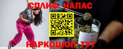 гидра Бузулук