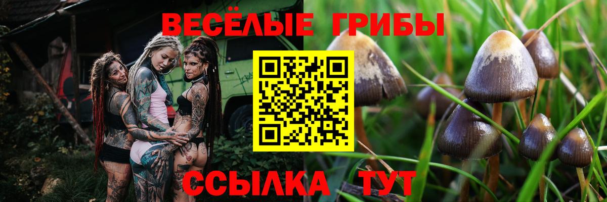 ГАШ  Вологда  КОКАИН  МЕТАМФЕТАМИН  Мефедрон   Вход с VPN  Каннабис 